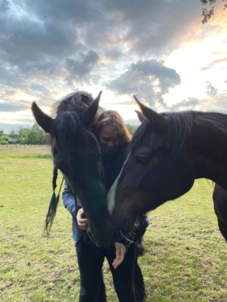 Ilse met twee paarden