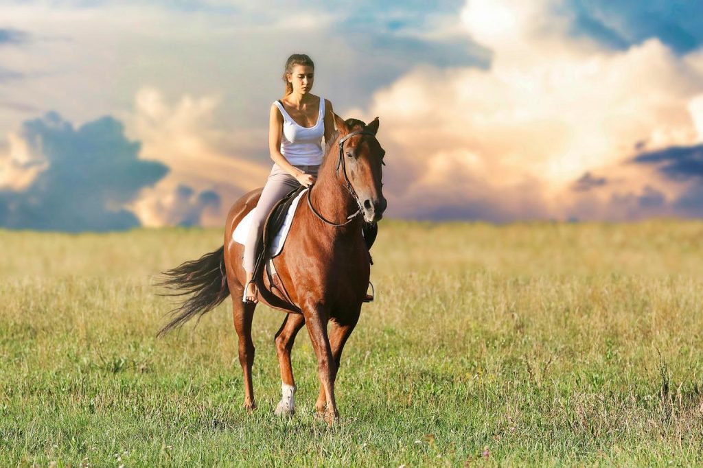 vrouw rijdt buiten paard in een veld