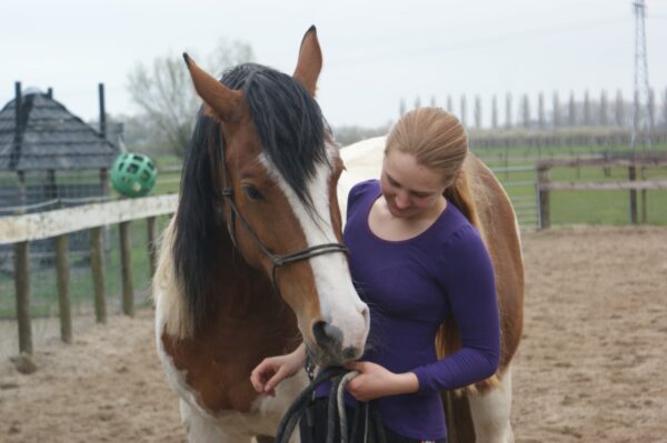 Diana met haar Tinkerruin Arlynn