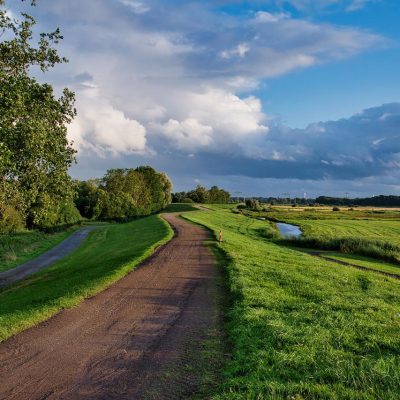 dijk en gras